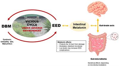 The double burden of malnutrition and environmental enteric dysfunction as potential factors affecting gut-derived melatonin in children under adverse environments